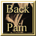 back pain facts