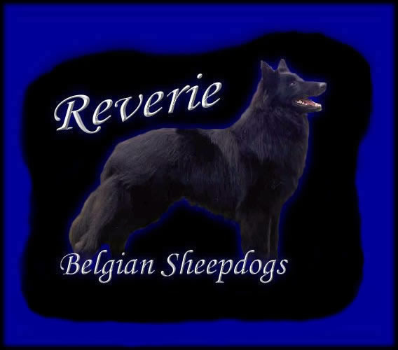 Reverie Belgians Logo