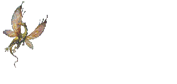 floating dragon  animation