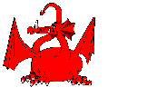 red dragon  animation