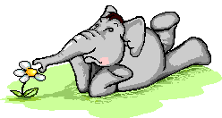 elephantpicking daisies  animation