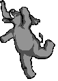 dancing elephant  animation