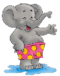 elephant in swimming trunks animation