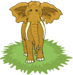 elephant  animation