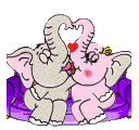 elephants kissing on the sofa  animation