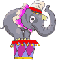 circus elephant  animation